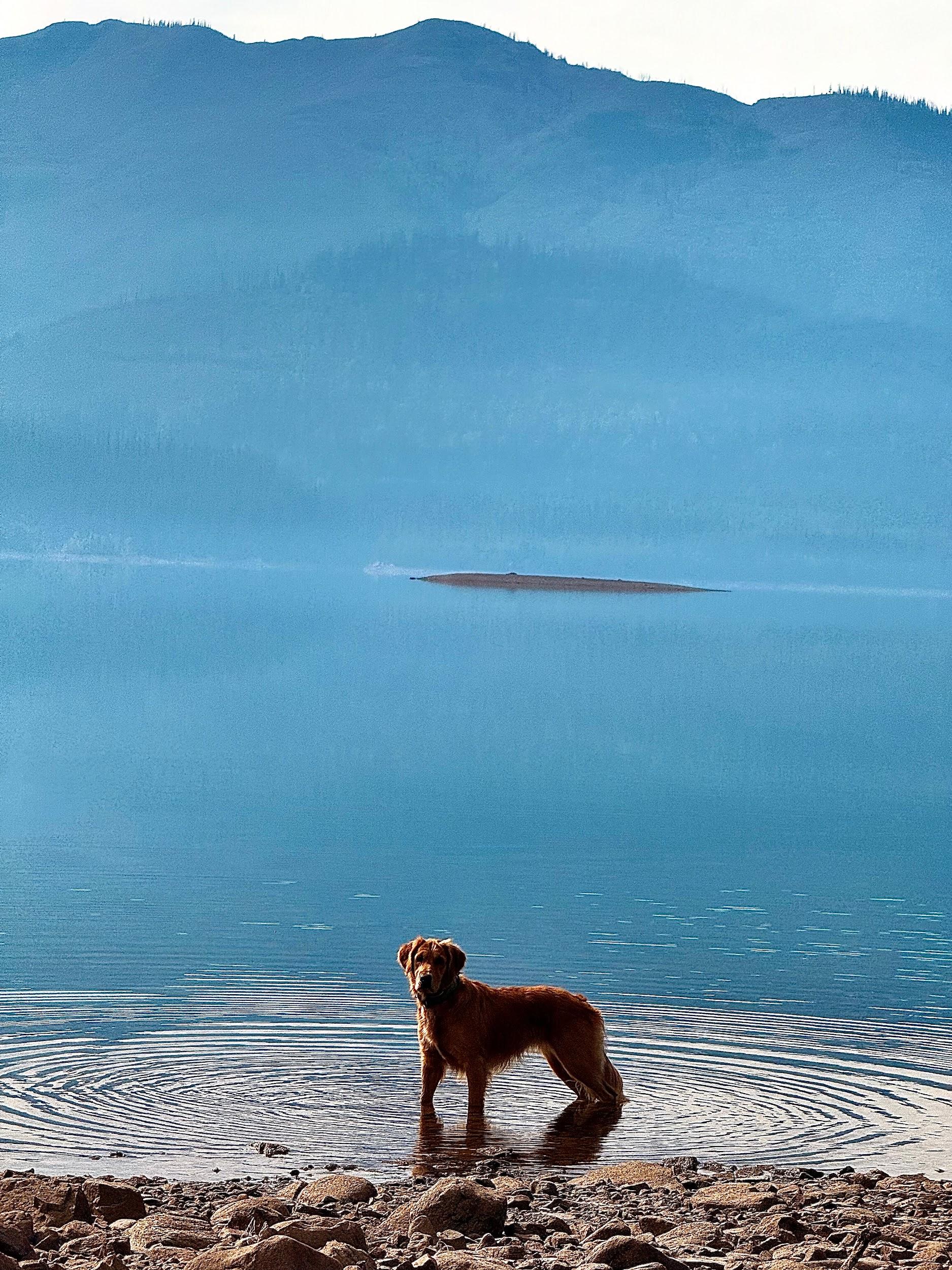Bennie standing in a misty mountain lake